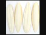 2023 Hot Sale Cuttlefish Bones Dried cuttlefish bone Cuttle fish bone - фото 1