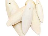 2023 Hot Sale Cuttlefish Bones Dried cuttlefish bone Cuttle fish bone - фото 6