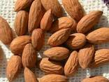 Almond nuts - photo 1