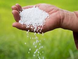 Nitrogen Fertilizer Ammonium Sulphate Granular N21 Urea 46% Nitrogen Fertilizer for Export