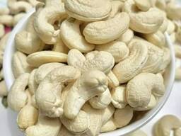 CASHEW NUTS FOR SELL