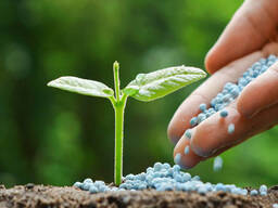 Cheap Urea N 46 Prilled Granular Fertilizer wholesale price