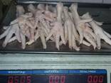 Chicken Feet and chicken paws and whole halal chicken at the best prices with prompt shipp - фото 1