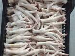 Chicken Feet and chicken paws and whole halal chicken at the best prices with prompt shipp - photo 2
