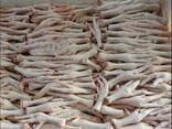 Chicken Feet and chicken paws and whole halal chicken at the best prices with prompt shipp - фото 5