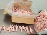 Chicken Feet and chicken paws and whole halal chicken at the best prices with prompt shipp - фото 6