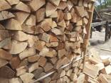 Chopped beech firewood / Hackad bok ved / Дрова колоті букові - фото 14
