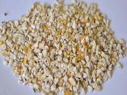 Corn germ