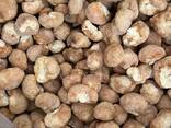 Dried mushrooms, caps and powder - фото 5