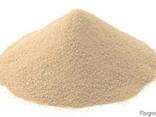 Dry brewer's yeast - photo 1