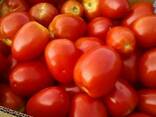 Färska tomater till salu - photo 2