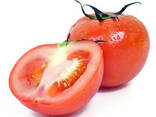Färska tomater till salu - photo 5