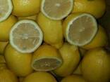 Fresh lemon - photo 1