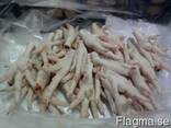 Frozen whole chicken and feet - photo 3