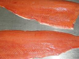 Frozen Wild Salmon Frozen Salmon Fish Fillets Frozen Chum Salmon Fillet/ mackerel fish
