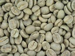 Green Arabica coffee beans for sell.