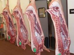 High-Quality Frozen Pork Feet Front and Hind