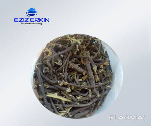 Whole licorice roots and rhizomes