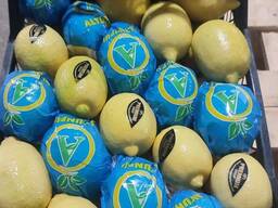 Limon LAMAS