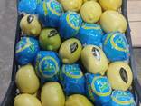 Limon LAMAS - фото 1