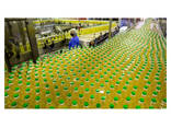 OEM Wholesale Sunflower Carrier Oil 100% Natural Cold Pressed Base Oil - фото 1