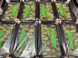 Päron ”Conference”