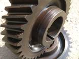 Gearwheel, gear, staft gear, toothed crown, gear box - photo 4