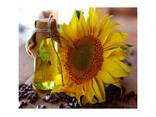 Premium Quality Organic Refined Sunflower Cooking Oil Wholesale - фото 2