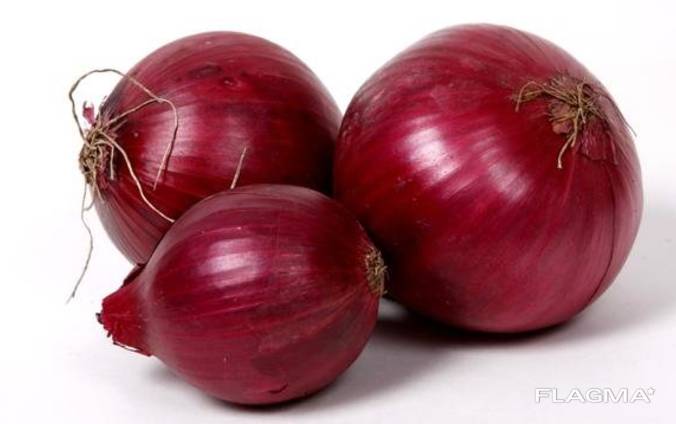 We sell onion (red).