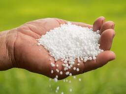 Quality Agriculture Grade Urea 46% Nitrogen Fertilizer Prilled Granular Urea for sale