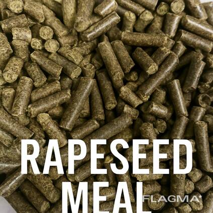 Rapeseed Oil Meal