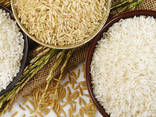 Рис - Rice - фото 1