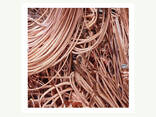 Top High Quality Copper Wire Scrap 99% for sale - фото 1