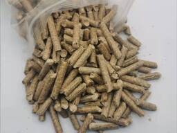 Top quality wood pellet for sale