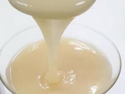 Whole Milk Powder / Skimmed Milk Powder / Condensed Milk for sell
