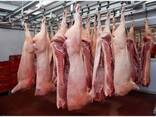 Wholesale Supply Of pork Meat From Spain - фото 1