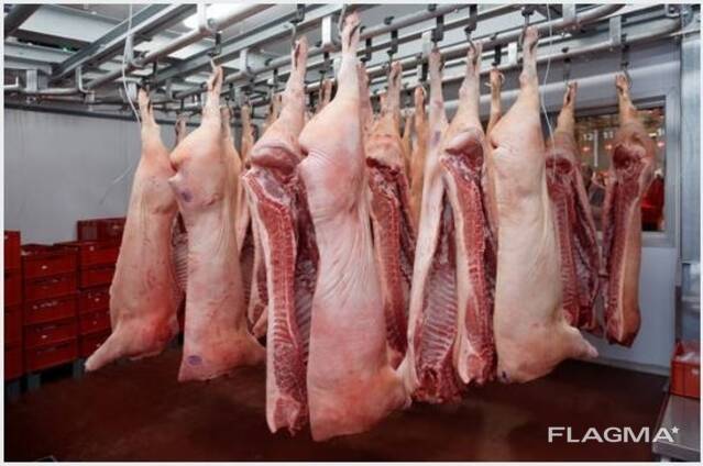 Wholesale Supply Of pork Meat From Spain