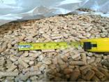 Wood Pellet Din Plus/EN Plus-A1 Wood Pellet Packed Top supplier - photo 5